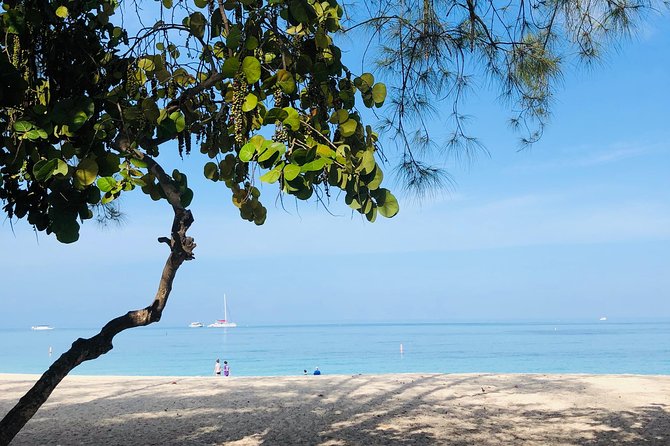 Private Swim Lesson or Triathlon Training on Seven Mile Beach! - Scheduling and Availability