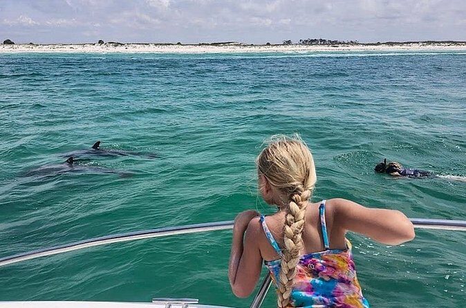 Private Swim with Dolphins And Snorkeling Tour - The Sum Up