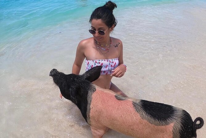 Private Swimming Pigs, Sea Scooter, Turtles And Peacock Island - Participation Requirements