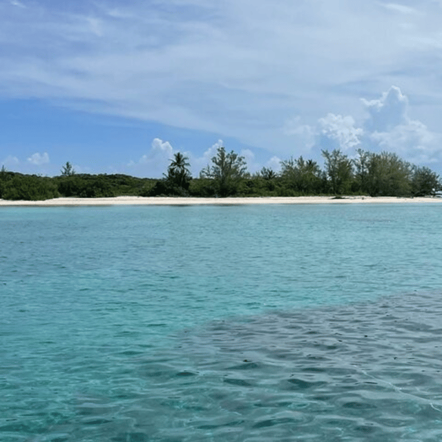 Private Swimming Pigs,Sea Scooter,Turtles And Peacock Island - Peacock Island Exploration