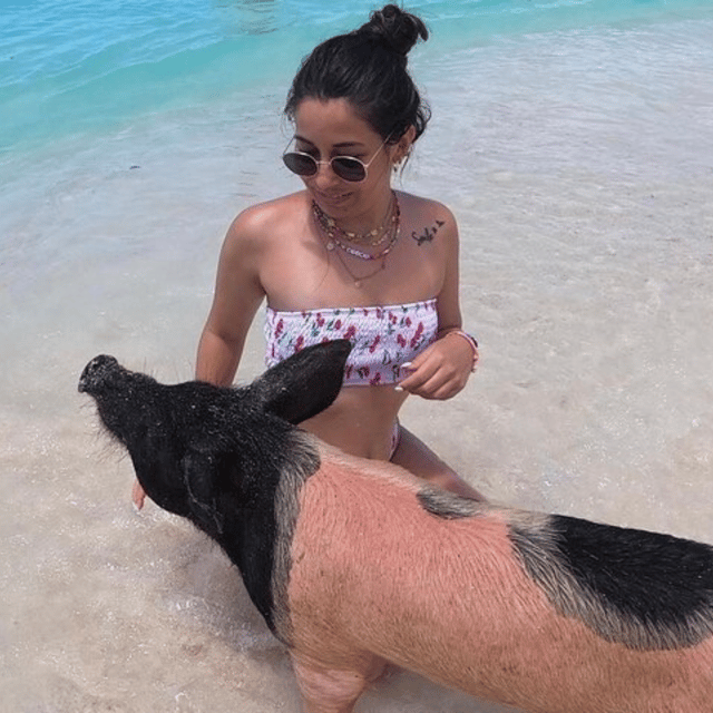 Private Swimming Pigs,Sea Scooter,Turtles And Peacock Island - Booking Information