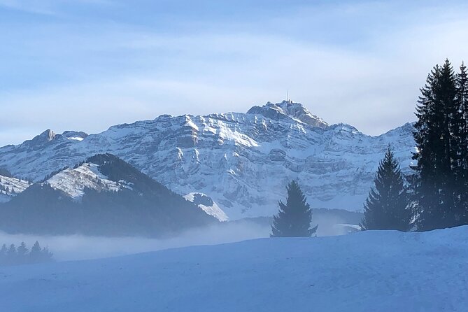 Private Swiss Chocolate, Cheese, Mountain Santis Tour With Pickup - Aerial Cable Car to Mount Säntis