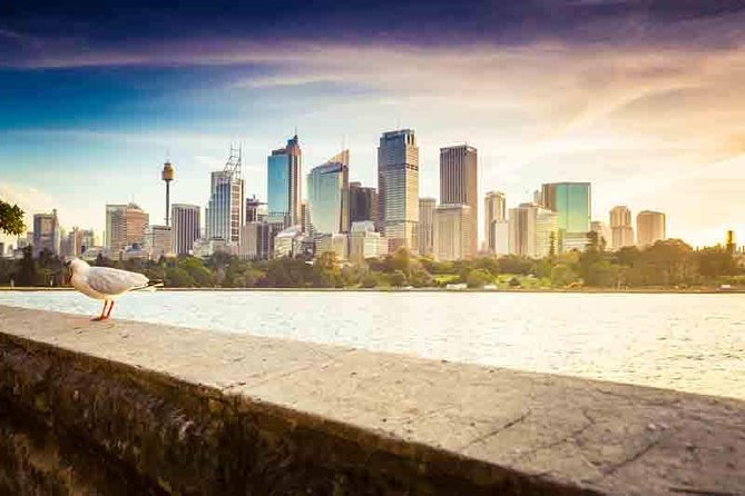 Private Sydney City and Bondi Beach Half Day Tour - Booking and Cancellation