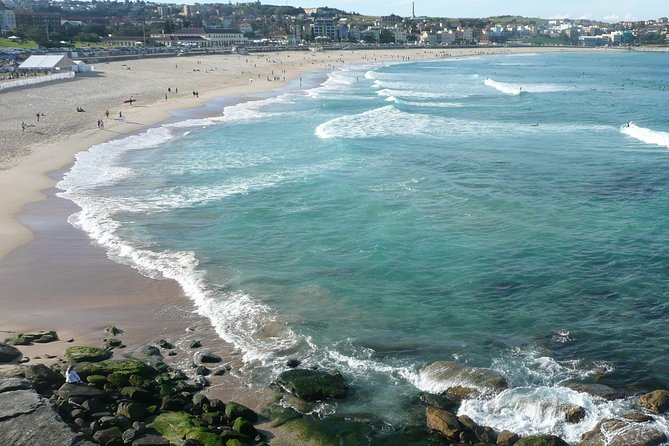 Private Sydney City Tour: The Key Attractions - Pickup Flexibility