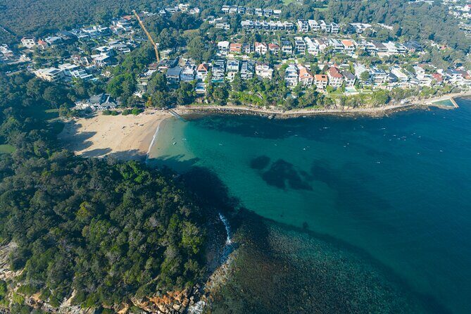 Private Sydney Snorkeling Experience: Explore Cabbage Tree Bay - Why This Tour Might Be Perfect for You