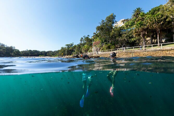 Private Sydney Snorkeling Experience: Explore Cabbage Tree Bay - The Value of a Private Guided Tour