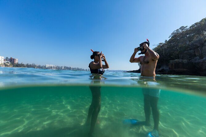 Private Sydney Snorkeling Experience: Explore Cabbage Tree Bay - What the Reviews Say