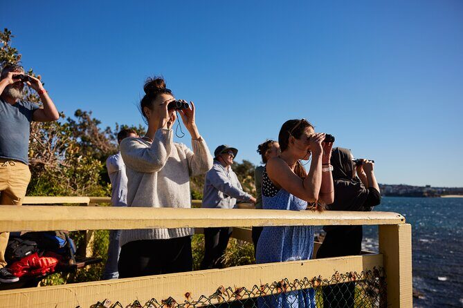 Private Sydney Snorkeling Experience: Explore Cabbage Tree Bay - Practical Considerations