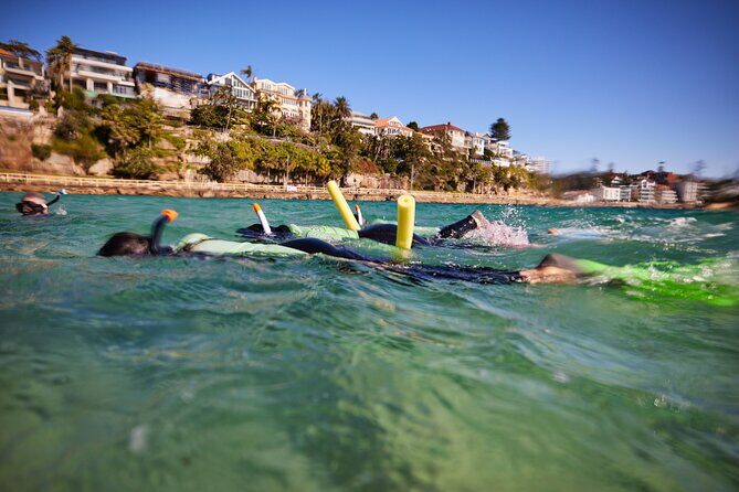 Private Sydney Snorkeling Experience: Explore Cabbage Tree Bay - FAQs