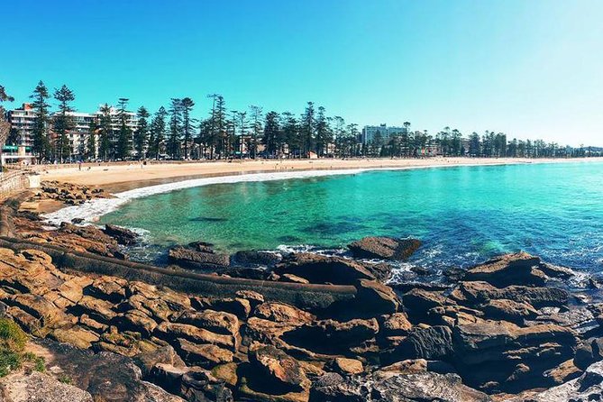 Private Sydney Tour Including Sydney Opera House, Bondi and Manly - Accessibility and Additional Information