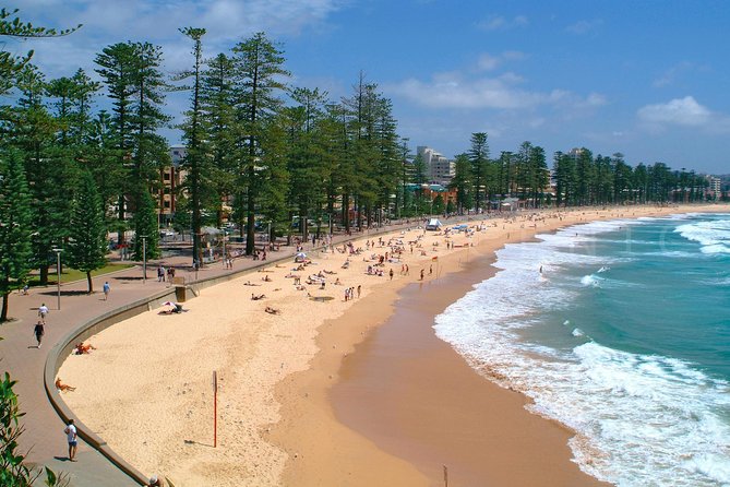 Private Sydney Tour Including Sydney Opera House, Bondi and Manly - Iconic Sydney Attractions