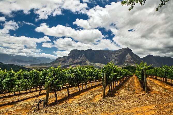 Private Table Mountain Penguins & Cape Point Tour From Cape Town - Traveler Feedback