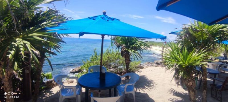Private Tacos and Bar Hop Tour in Cozumel - Itinerary Highlights