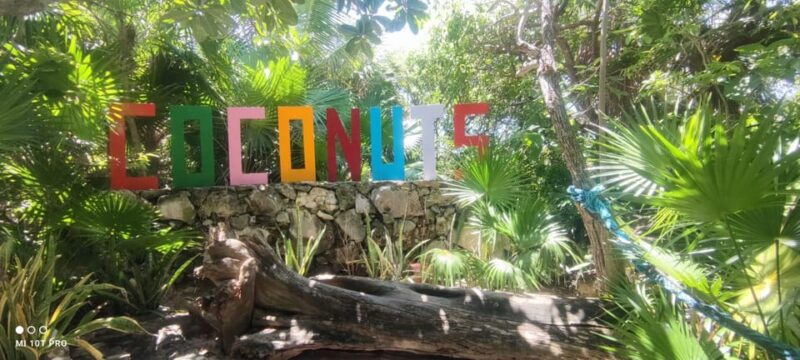 Private Tacos and Bar Hop Tour in Cozumel - Inclusions