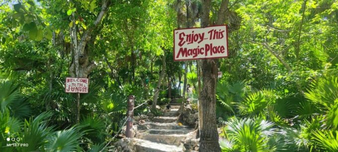 Private Tacos and Bar Hop Tour in Cozumel - Customizable Route