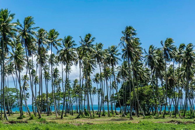 Private Tahiti Circle Island - Waterfalls, Black Sand & Views - Why Choose This Tour?