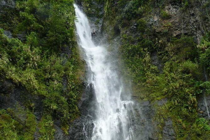 private Tahiti island discovery - Who Should Consider This Tour?