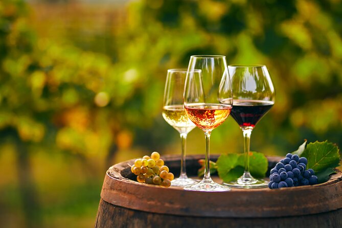 Private Tailored Full-Day Taste Tour in Lefkada With Pick up - Participant Requirements