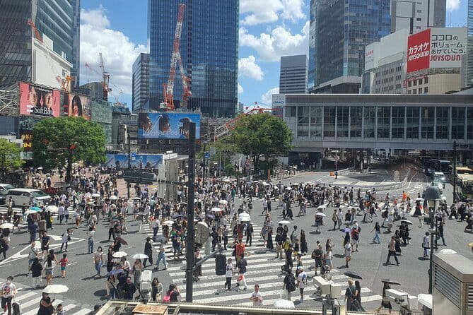 Private Tailored Tour With Local Guide in Tokyo - Ensuring a Hassle-Free and Memorable Experience