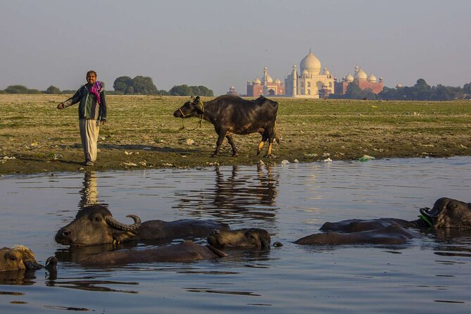 Private Taj Mahal Agra Overnight Tour From Delhi - Highlights