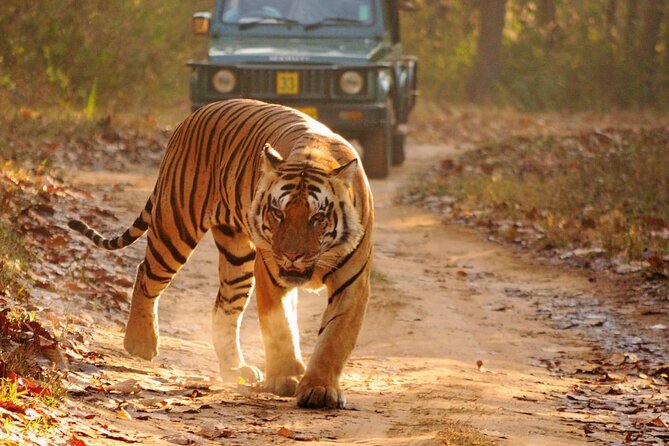 Private Taj Mahal & Ranthambore Wildlife Safari Tour From Delhi - Destination Highlights