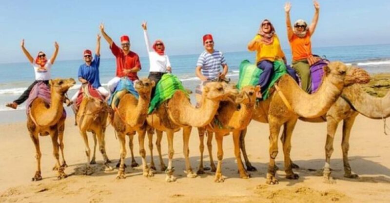 Private Tangier Tour From Malaga Including Camel & Lunch - Tour Highlights