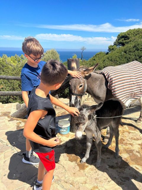 Private Tangier Tour From Marbella Including Camel & Lunch - Camel Ride on the Beach