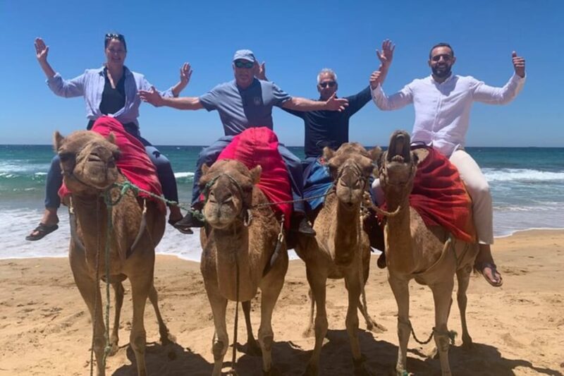 Private Tangier Tour From Tarifa Including Camel & Lunch - Experience and Accessibility