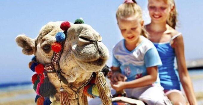 Private Tangier Tour With Lunch and Camel Ride - Private Transportation