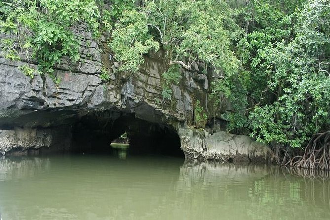 Private Tanjung Rhu Village and Mangroves by Boat in Langkawi - Experience Highlights
