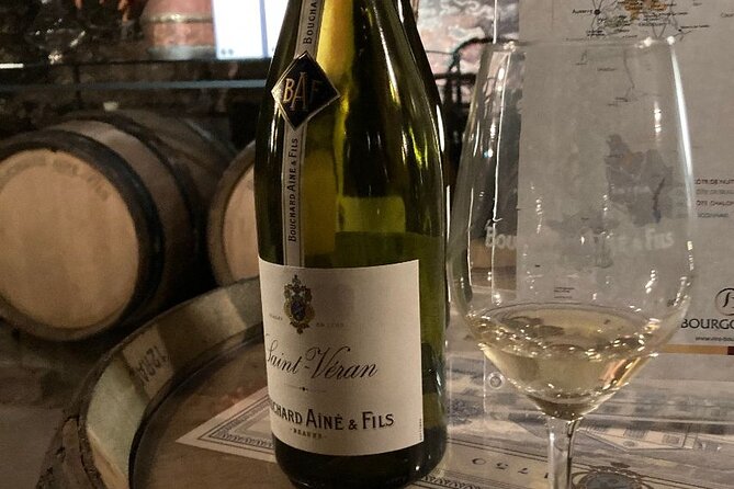 Private Tasting Day Tour From Paris to Beaune - Health and Safety Guidelines