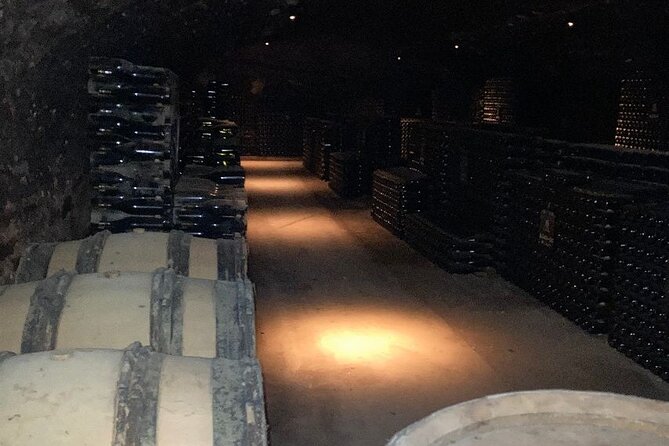 Private Tasting Day Tour From Paris to Beaune - Preparing for Your Tour