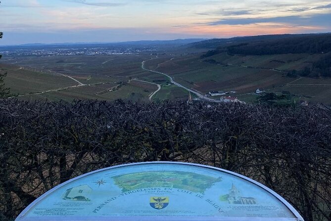 Private Tasting Day Tour From Paris to Beaune - Worth The Stay