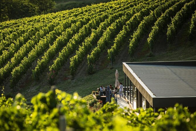 Private Tasting Expedition Along Romania's Most Famous Wine Route - Whats Included in the Experience