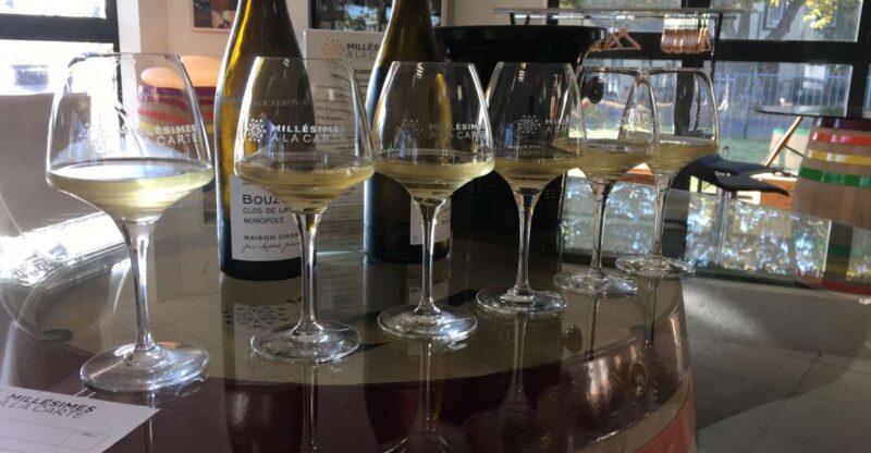 Private Tasting in Beaune : The Best of Burgundy Wines - Exclusive Wine Selection