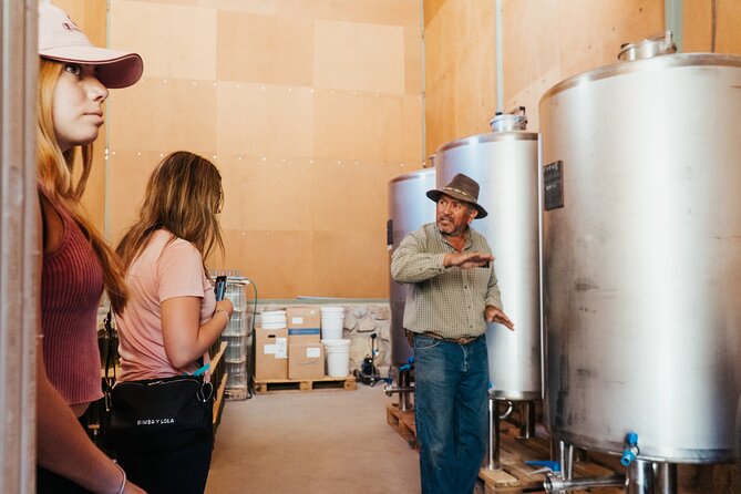 Private Tasting of Piuquenes Wines in Paihuano - Key Points