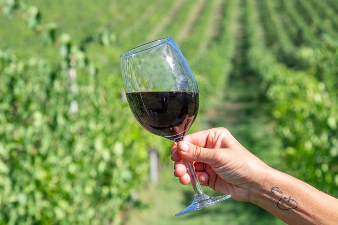 Private Tastings at the Colombina Agricultural Company - Booking and Cancellation Policy