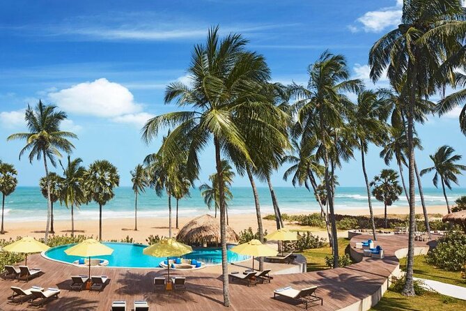 Private Taxi From Sri Lanka Airport (Bia-Cmb) to Arugambay Hotels - Key Points