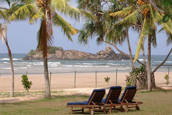 Private Taxi From Sri Lanka Airport (Cmb-Bia) to the Palms Hotel Beruwala - Pickup and Drop-off Information