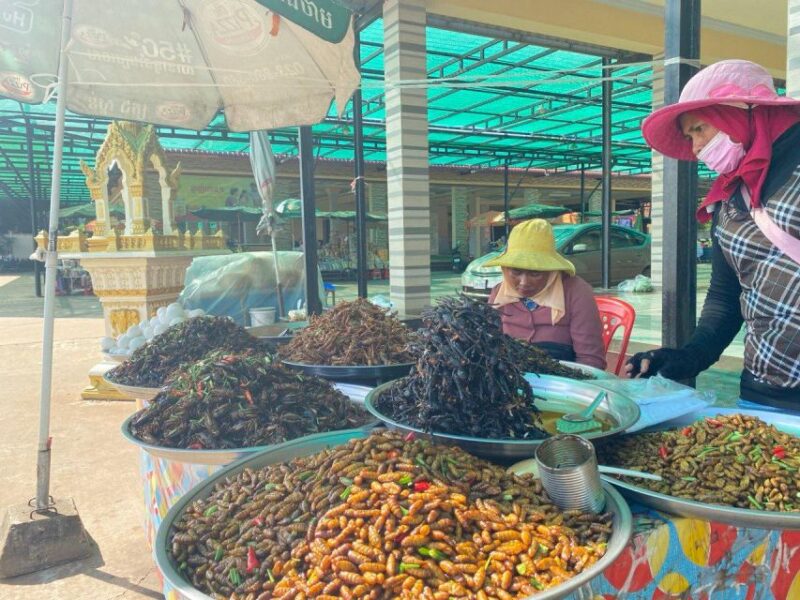 Private Taxi Transfer From Phnom Penh to Siem Reap - Pickup and Driver Details