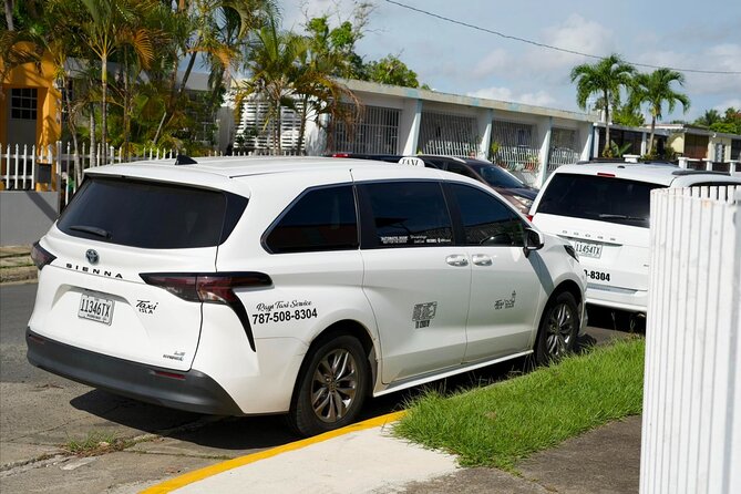 Private Taxi Transfer From San Juan Airport (Sju) to Ponce - Accessibility and Participation