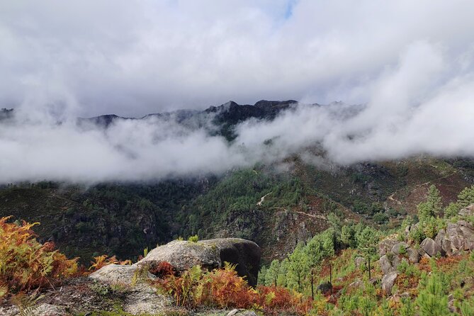 Private & Taylor Made Experience in Gerês National Park - What to Expect