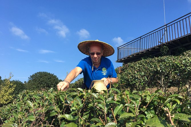 Private Tea Picking Tour and Taste in Yangshuo - Key Points
