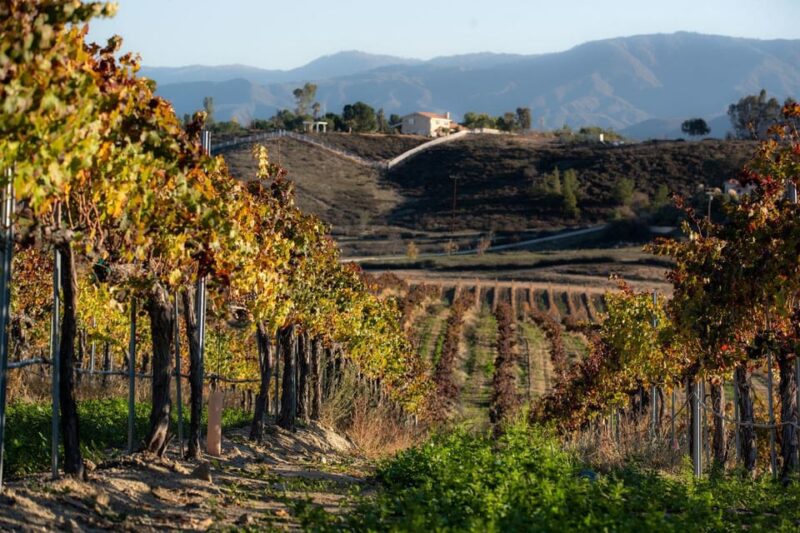 Private Temecula Wine Trail and Old Town Dinning and Shop. - Winery Tasting Experiences