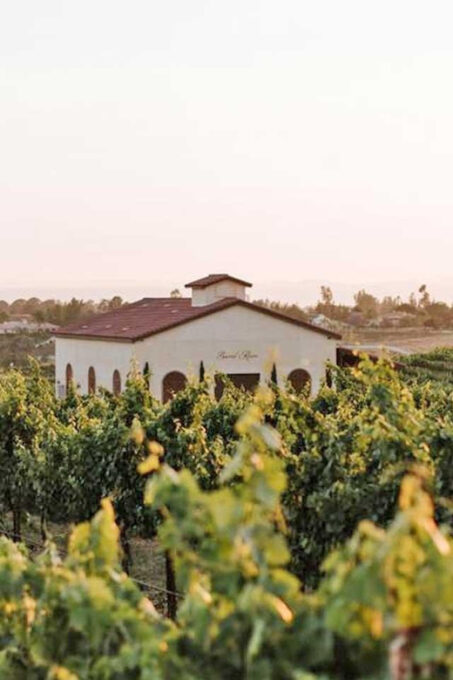 Private Temecula Wine Trail and Old Town Dinning and Shop. - Highlights of the Tour