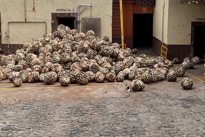 Private Tequila Tasting Tour - Transportation