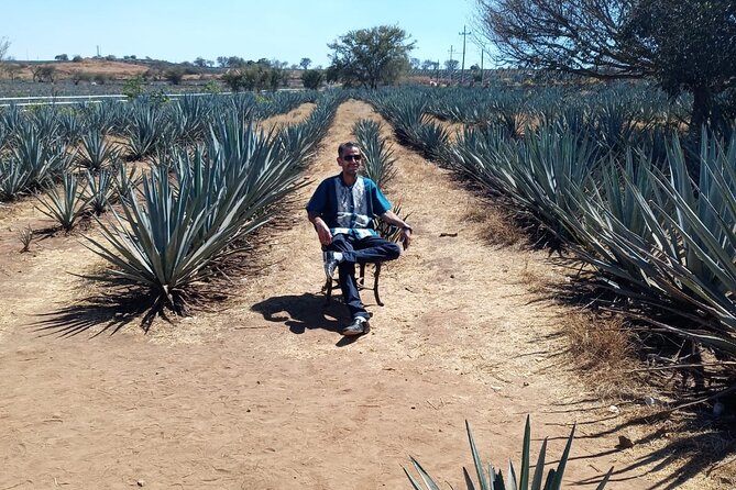 Private Tequila Tour in Guadalajara - Traveler Feedback