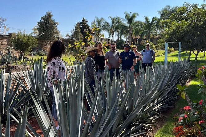 Private Tequila Tour With Local Expert - Health and Safety Considerations