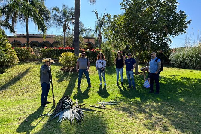 Private Tequila Tour With Local Expert - Tequila Production Insights