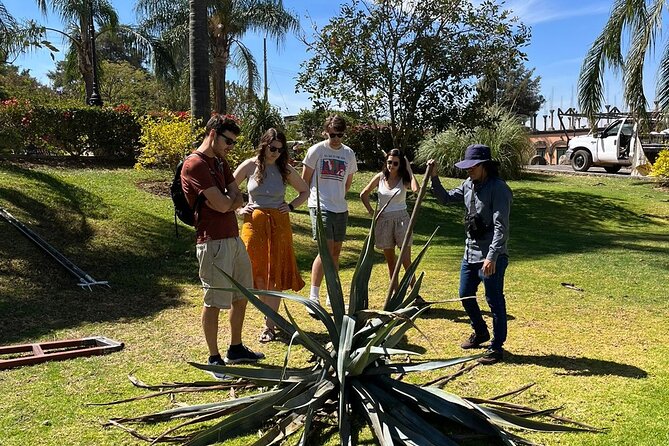 Private Tequila Tour With Local Expert - Personalized Attention Guarantee